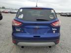 2014 Ford Escape Se for Sale in Earlington, KY - Top/Roof
