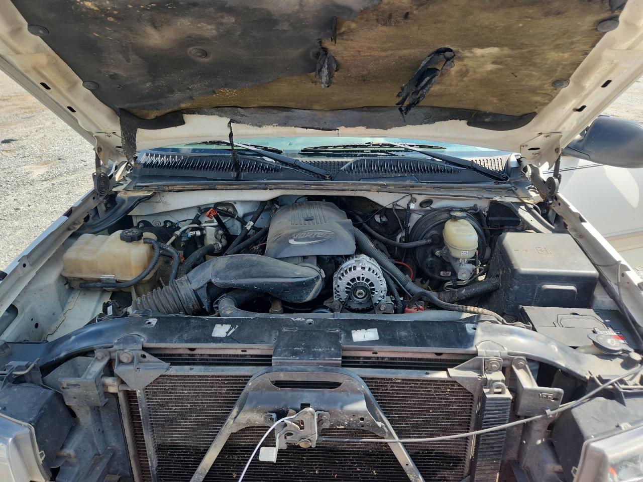 2005 Chevrolet Silverado C1500 VIN: 2GCEC13T251359726 Lot: 62370835