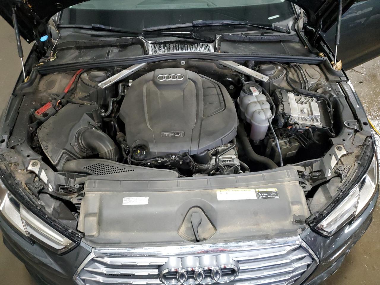 2019 Audi A4 Premium VIN: WAUDNAF4XKA117906 Lot: 61091315