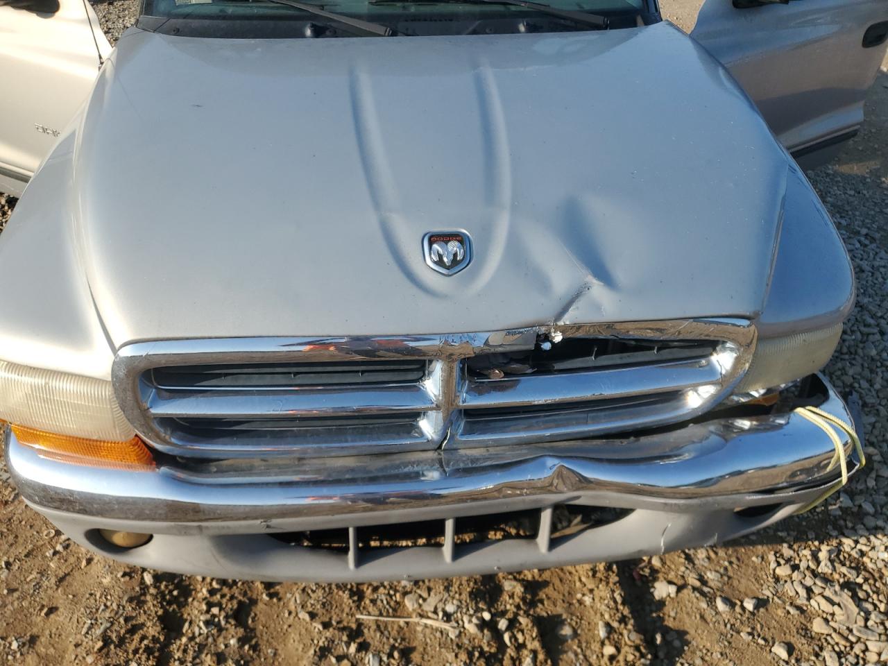 2000 Dodge Dakota VIN: 1B7GL22XXYS620835 Lot: 61948715