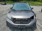 2013 Honda Cr-V Exl на продаже в Marlboro, NY - Front End