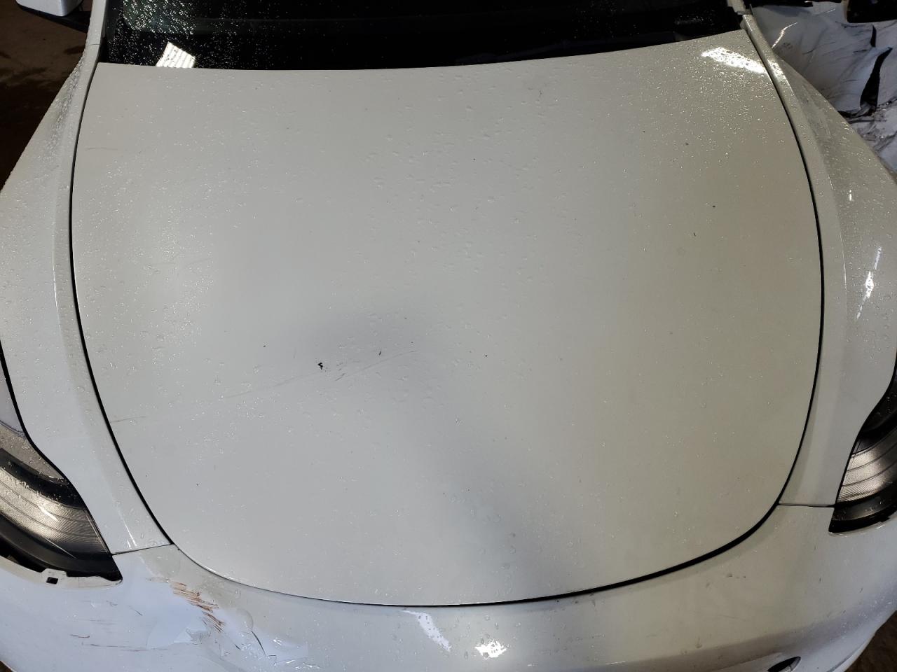 2023 Tesla Model Y VIN: 7SAYGDEE2PA037749 Lot: 59943705