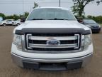 2013 FORD F150  for sale at Copart QC - MONTREAL