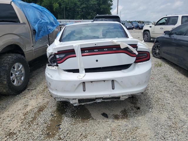  DODGE CHARGER 2019 Два тона