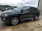 2014 Lexus Rx 350 للبيع في Memphis، TN - Front End