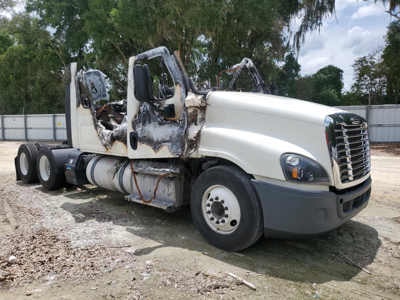 2019 Freightliner Cascadia 125 Semi Truck იყიდება Ocala-ში, FL - Burn