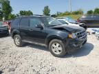 2012 Ford Escape Xlt   продається в Wayland, MI - Front End