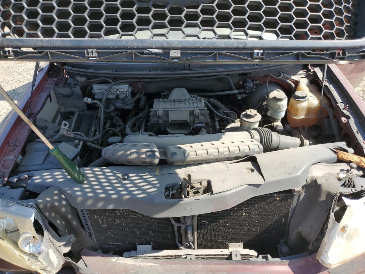 2004 Ford F150 VIN: 1FTRX12574KD09895 Lot: 60312275