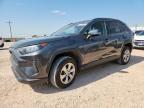 2019 Toyota Rav4 Le   for Sale in Andrews, TX - Hail