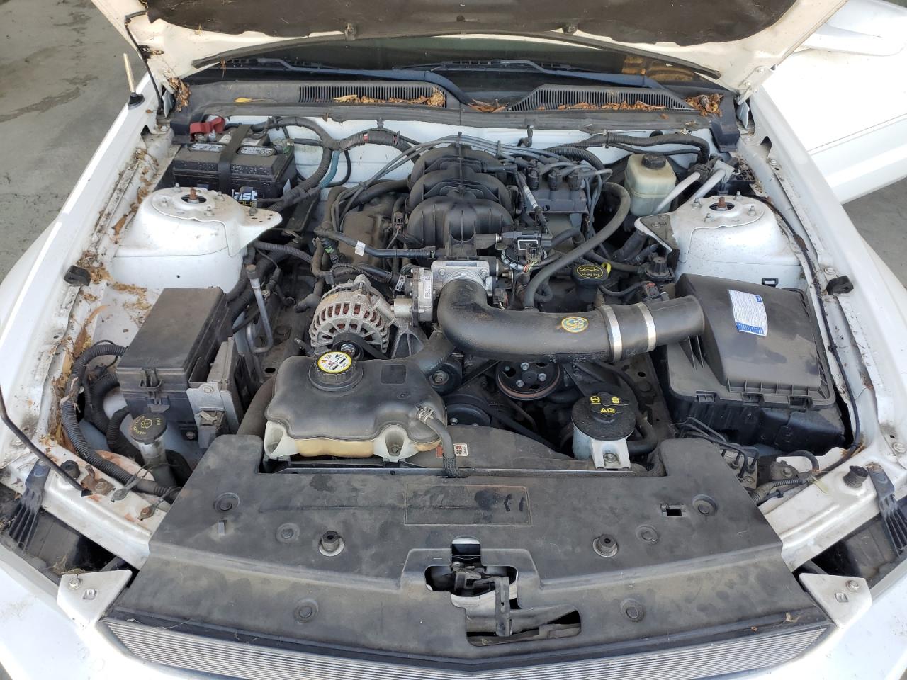 2006 Ford Mustang VIN: 1ZVFT80N565196196 Lot: 62432655