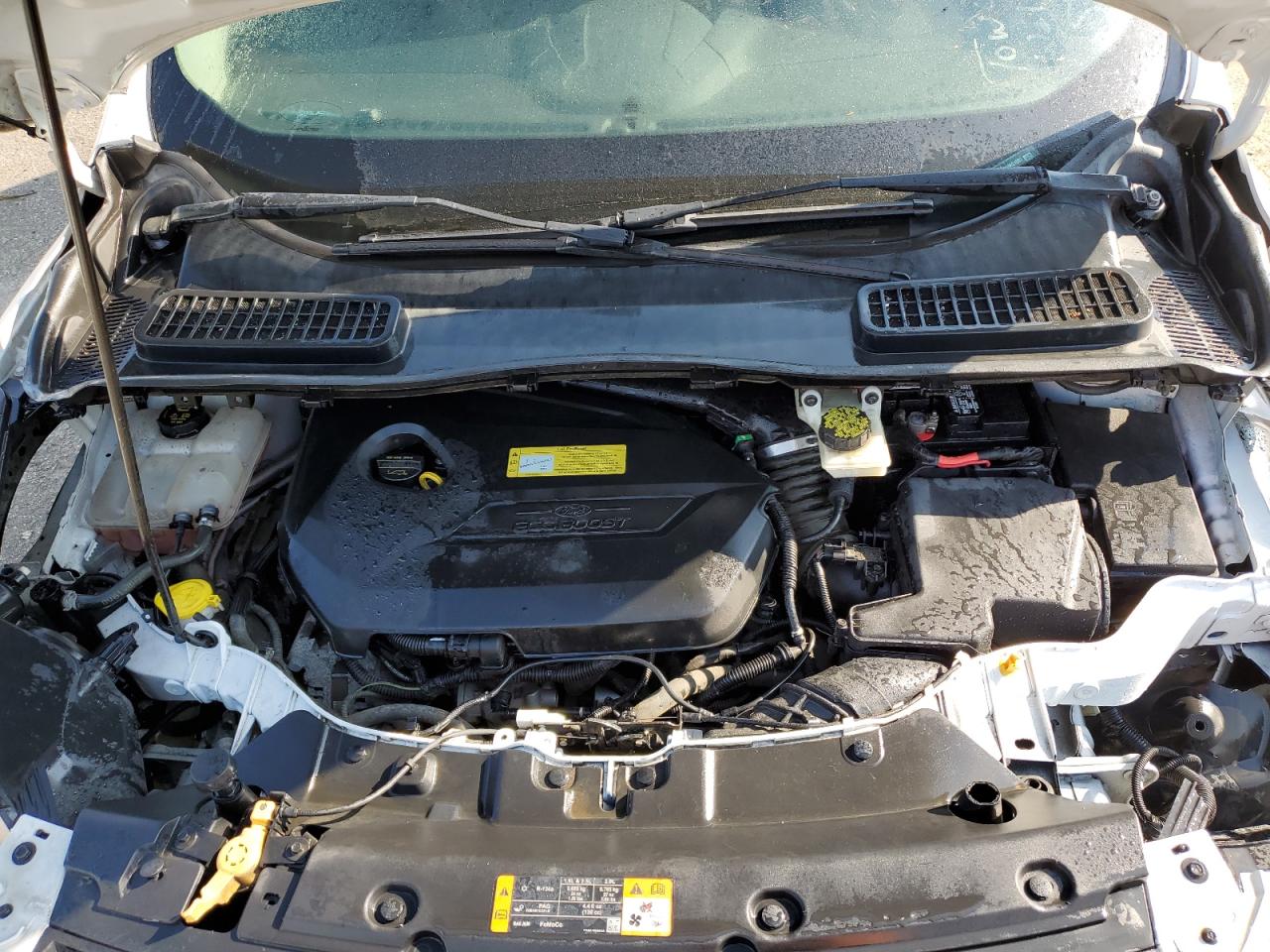 FORD ESCAPE 2013 VIN 1FMCU9GX8DUA61681 photo 12