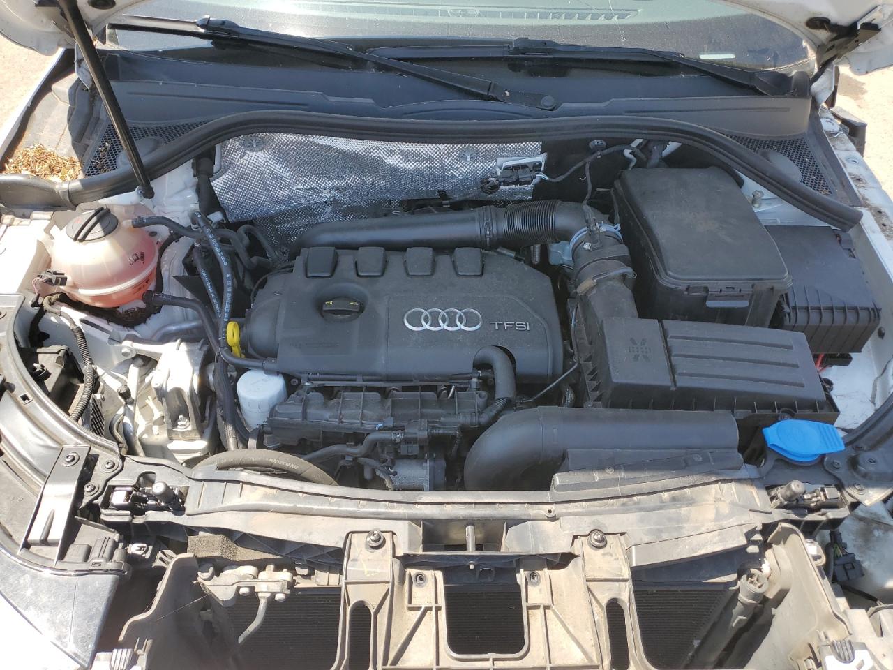 2017 Audi Q3 Premium Plus VIN: WA1JCCFSXHR007139 Lot: 60569485