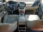 2013 Cadillac Srx Luxury Collection   en Venta en Fort Pierce, FL - Front End