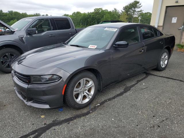  DODGE CHARGER 2023 Gray
