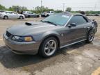 2004 Ford Mustang Gt for Sale in Woodhaven, MI - Rear End