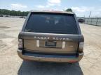 2010 Land Rover Range Rover Hse Luxury en Venta en Shreveport, LA - Minor Dent/Scratches