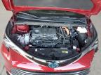2024 Toyota Sienna Limited   en Venta en Phoenix, AZ - Front End