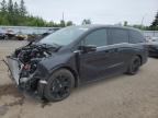 2025 HONDA ODYSSEY BLACK EDITION   à vendre chez Copart ON - TORONTO