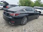 2021 Lexus Es 350 Base for Sale in Cahokia Heights, IL - Hail
