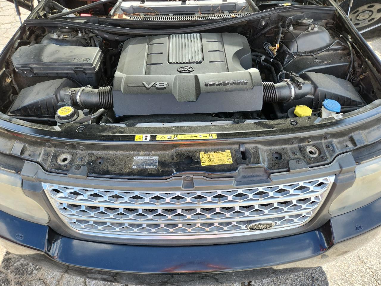 2010 Land Rover Range Rover Hse Luxury VIN: SALMF1E44AA319486 Lot: 61178965