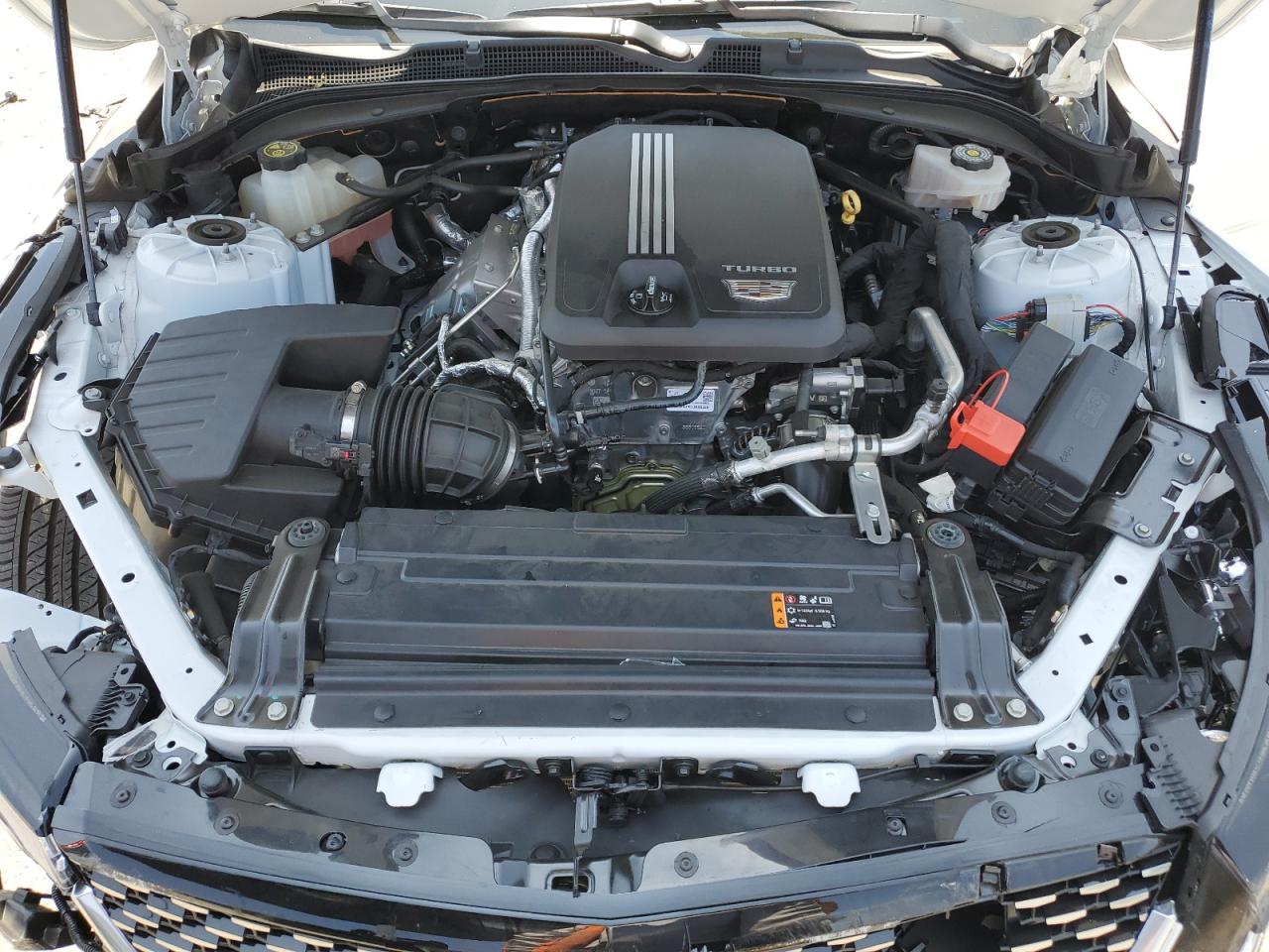 2020 Cadillac Ct4 Luxury VIN: 1G6DA5RKXL0155615 Lot: 60728655