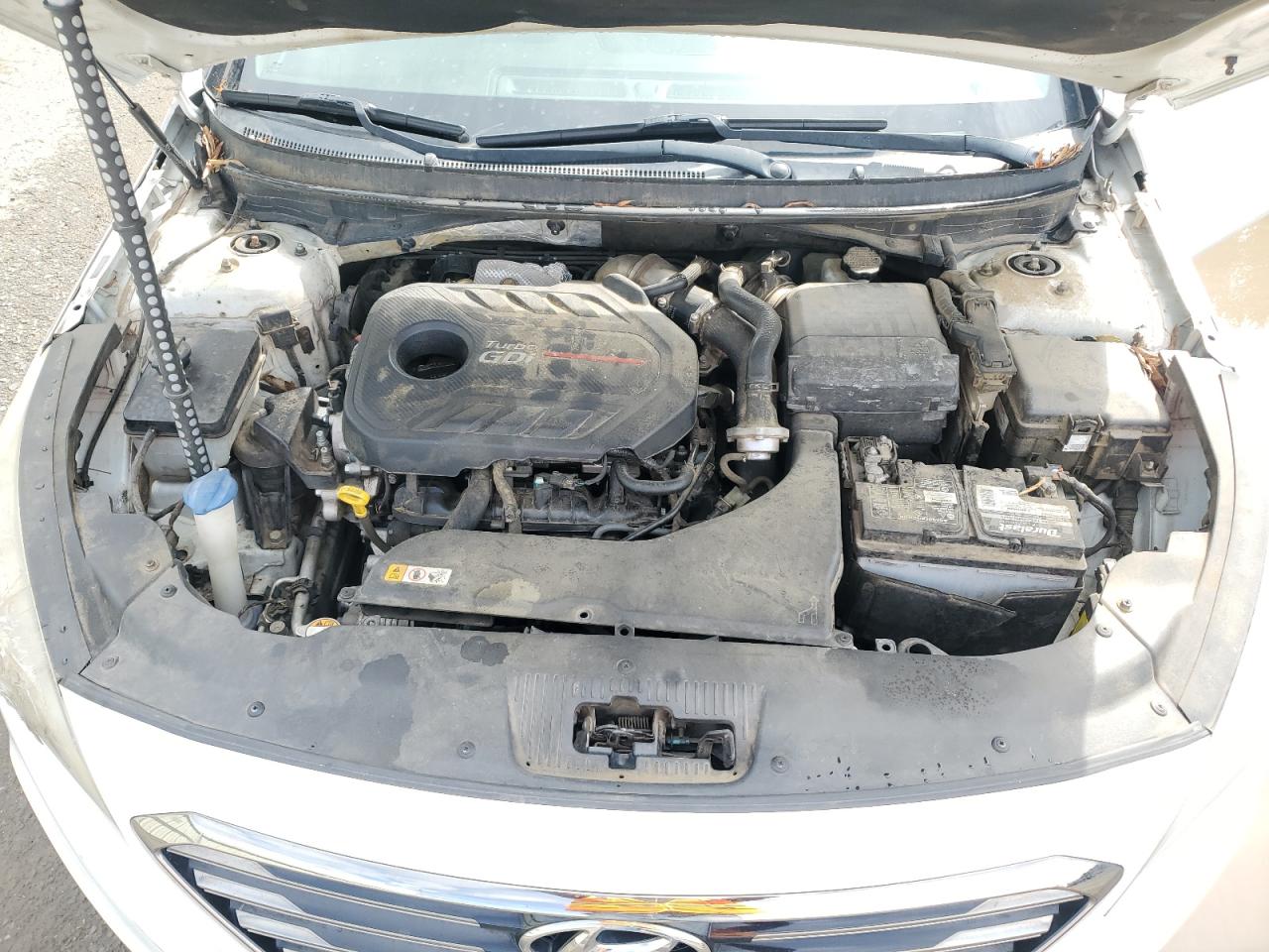 2015 Hyundai Sonata Sport VIN: 5NPE34AB9FH124817 Lot: 60080465