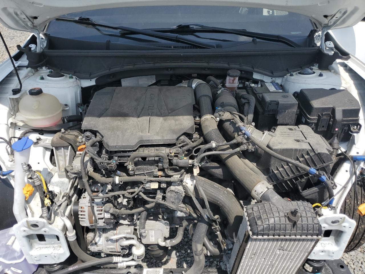 2022 Hyundai Santa Cruz Sel Premium VIN: 5NTJDDAF8NH039692 Lot: 61987285