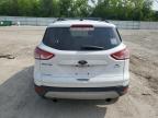 2016 Ford Escape Se for Sale in Franklin, WI - Front End