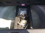2019 VAUXHALL CORSA GRIF for sale at Copart CHESTER