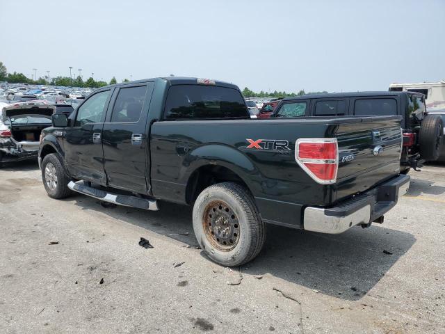 Пикапы FORD F-150 2014 Зеленый