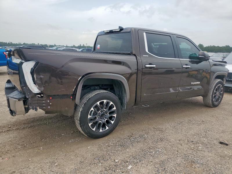  TOYOTA TUNDRA 2024 Brązowy