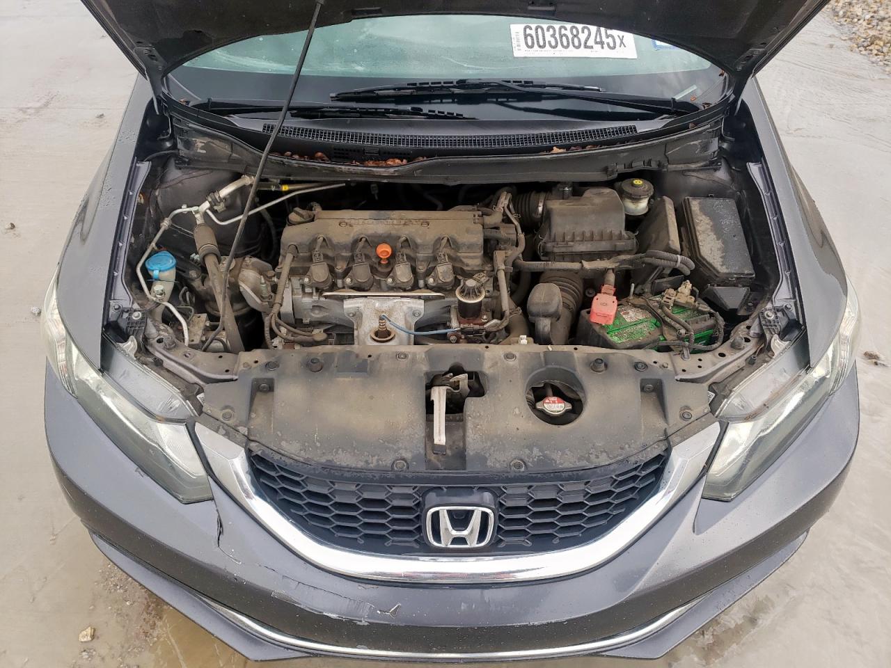 2014 Honda Civic Lx VIN: 19XFB2F50EE231787 Lot: 60368245