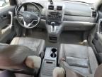 2008 Honda Cr-V Exl იყიდება Tanner-ში, AL - Front End