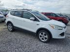 2013 Ford Escape Se en Venta en Mcfarland, WI - Front End