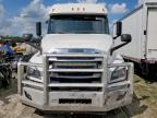 Houston, TX에서 판매 중인 2021 Freightliner Cascadia 126 Semi Truck - Normal Wear