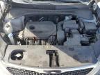 2017 KIA SORENTO LX   à vendre chez Copart FL - FT. PIERCE