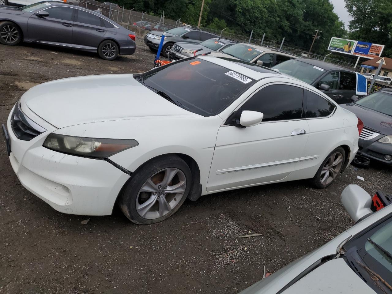 2011 Honda Accord Exl продається в Baltimore, MD - Front End