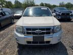 2011 Ford Escape Limited   de vânzare în Hillsborough, NJ - Minor Dent/Scratches