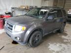2012 Ford Escape Xlt   للبيع في York Haven، PA - Side
