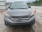 2013 Honda Cr-V Exl   იყიდება Prairie Grove-ში, AR - Hail