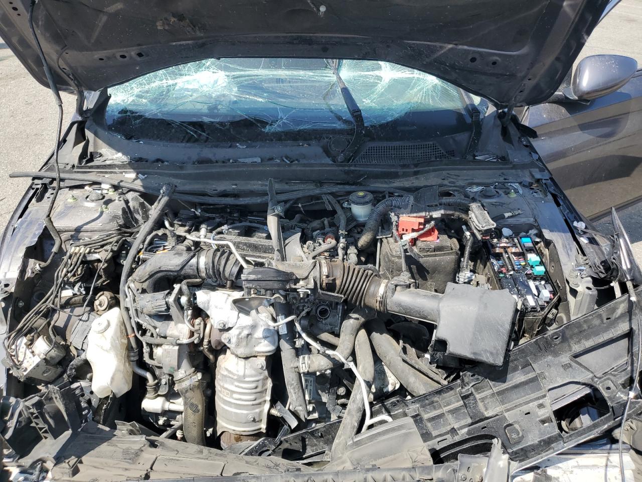 2021 Honda Accord Lx VIN: 1HGCV1F17MA008800 Lot: 60656935