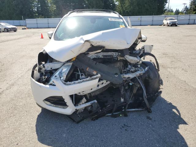  FORD ESCAPE 2013 White
