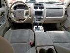 2010 Ford Escape Xlt for Sale in Temple, TX - Front End