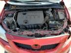 2010 Toyota Corolla Base   for Sale in Littleton, CO - Front End