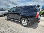 2003 Toyota 4Runner Limited   de vânzare în Prairie Grove, AR - Hail