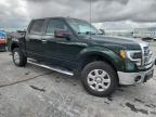 2013 Ford F150 Supercrew   de vânzare în Tulsa, OK - Top/Roof