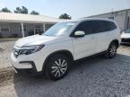 2019 Honda Pilot Exl للبيع في Prairie Grove، AR - Hail