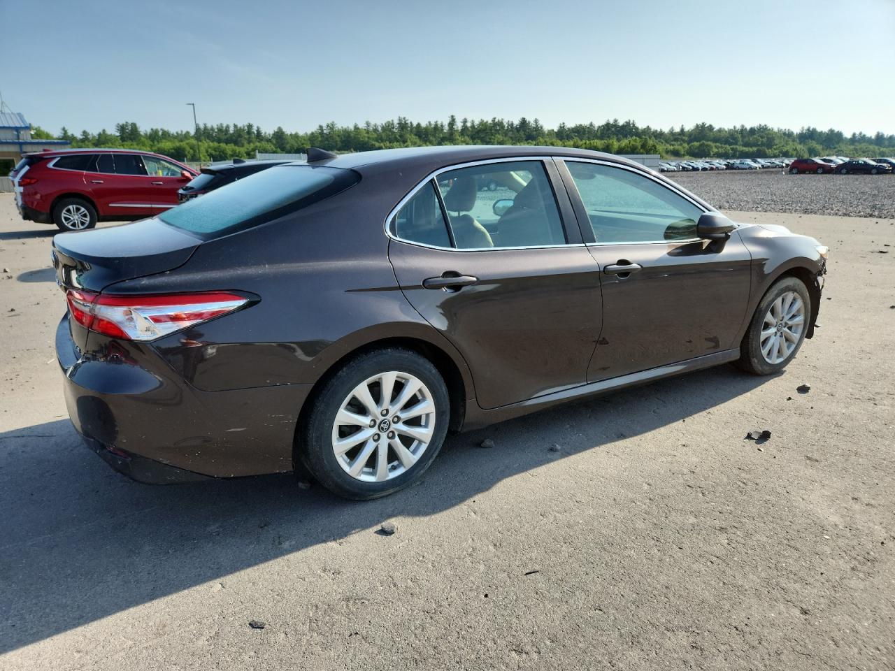 2019 Toyota Camry L brown null gas 4T1B11HKXKU833247 photo #4