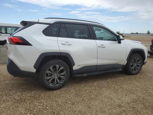  TOYOTA RAV4 2023 Biały