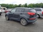 Marlboro, NY에서 판매 중인 2015 Kia Sportage Lx   - Rear End